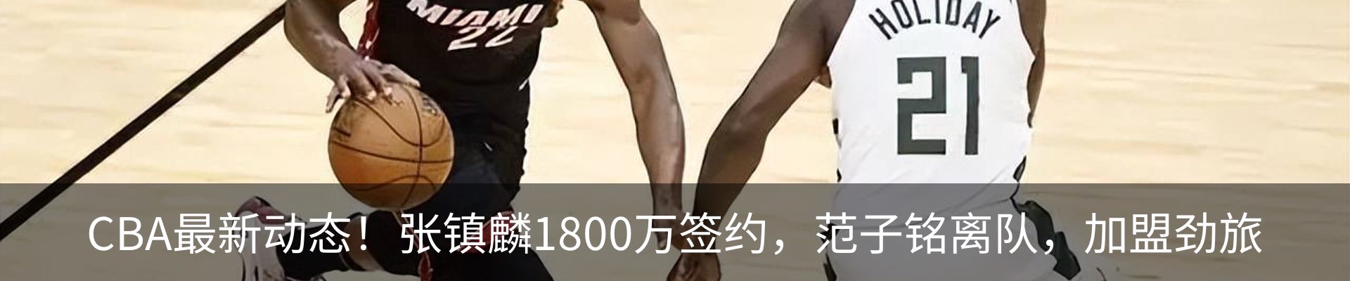 新闻动态